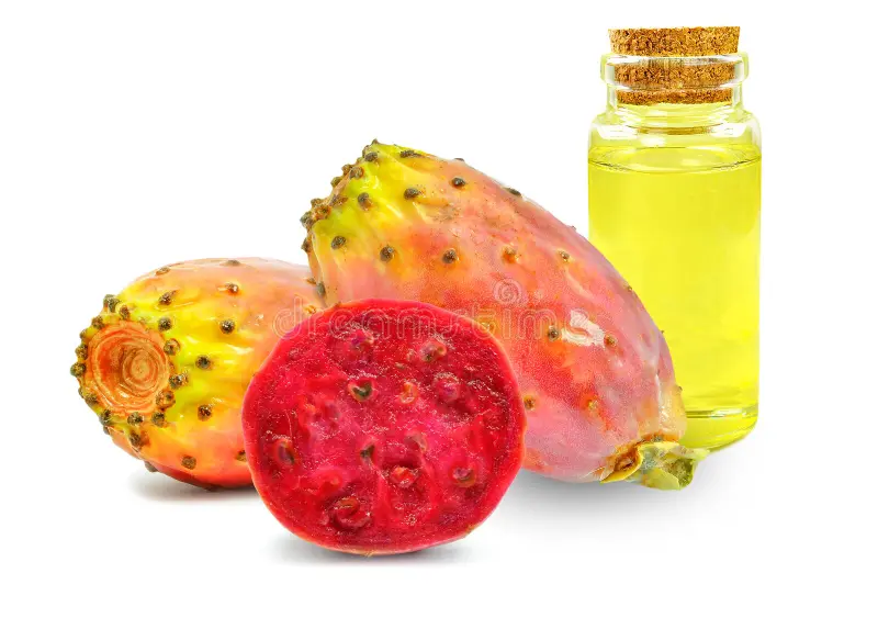 Moroccan Prickly Pear Seed Oil Benefits for Skin and Hair